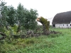 Tree down