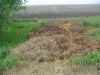 Compost pile