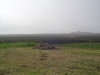 Another pile of grass/compost