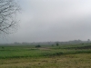 Foggy morning