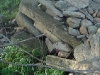 Rock pile
