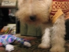 Tita nose
