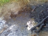 Burn pit leftovers