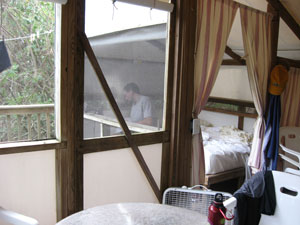 tentfromkitchen.jpg